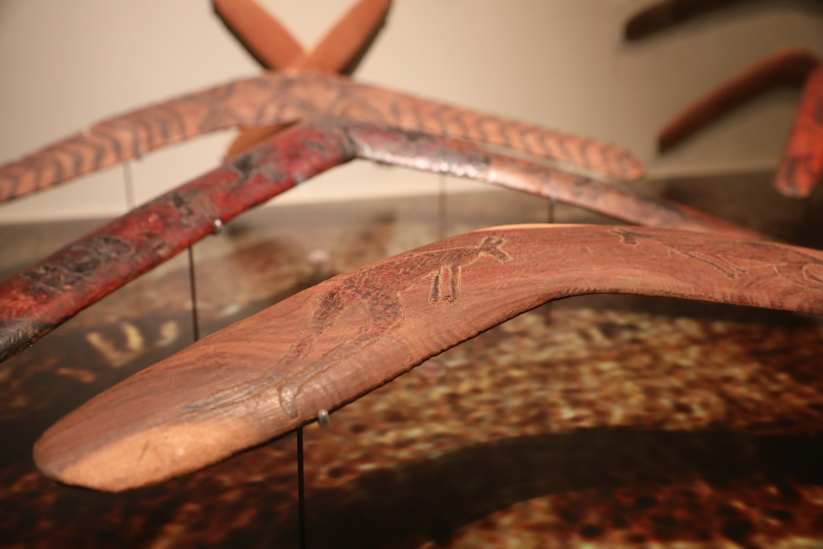 South Australian Museum in Adelaide